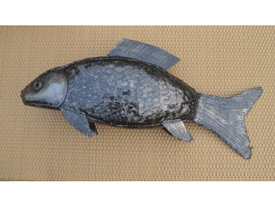 Ryba 80 cm Darmowy kurier