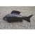 Ryba 80 cm Darmowy kurier