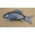 Ryba 80 cm Darmowy kurier